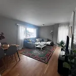 Stylish 2-bedrooms Apartment, Smart Tv, Netflix, Parking - アパート オスロ